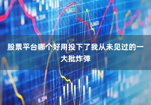 股票平台哪个好用投下了我从未见过的一大批炸弹