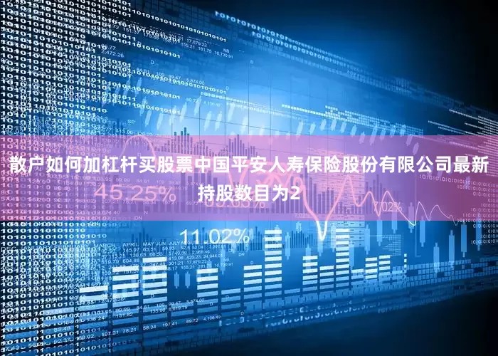 散户如何加杠杆买股票中国平安人寿保险股份有限公司最新持股数目为2