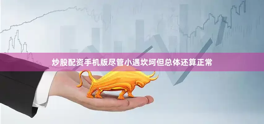 炒股配资手机版尽管小遇坎坷但总体还算正常